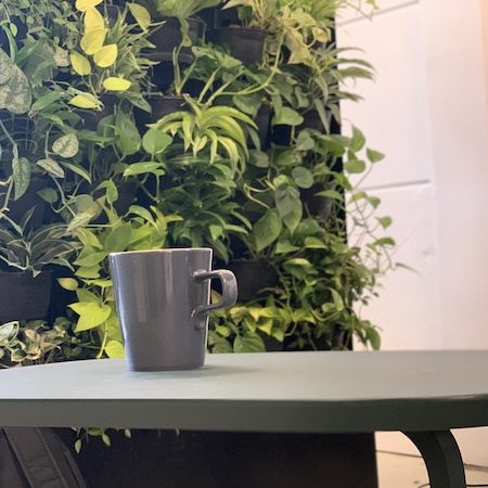 kaffee-im-gruenen